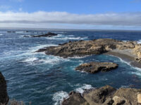 Cypress Grove Travel Forum Reviews