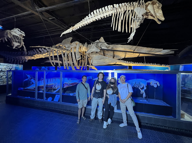 D' Bone Collector Museum
