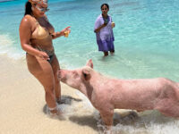 Da Pig Beach Nassau Bahamas (Departures only) Travel Forum Reviews