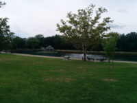 Dahnert's Lake County Park Travel Forum Reviews