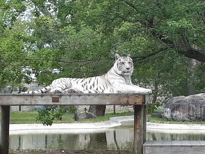 Dakota Zoo
