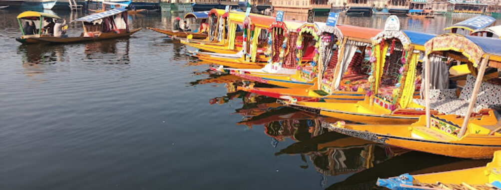 Dal Lake Shikara Ride by Pamposh Garden Travel Forum Reviews