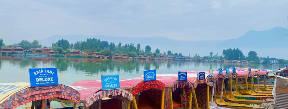 Dal gate Travel Forum Reviews