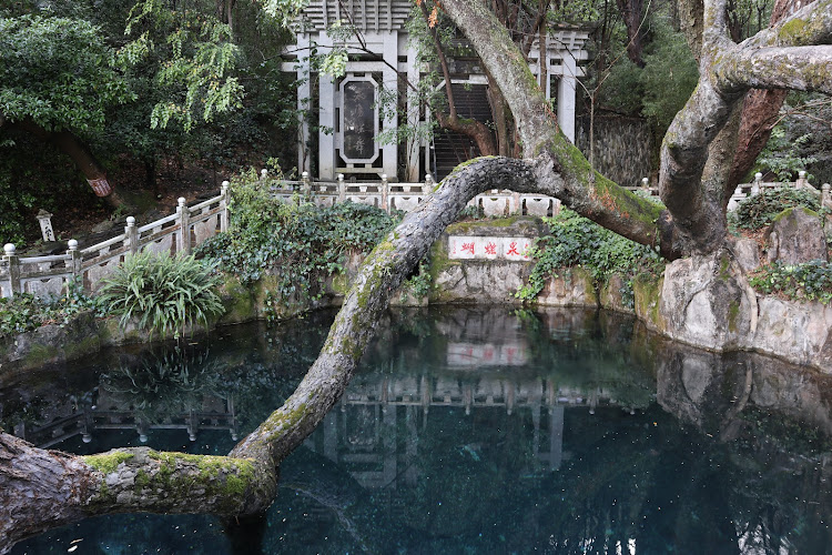 Dali Butterfly Spring Park