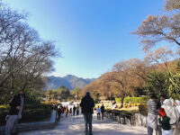 Daman-e-Koh Park Travel Forum Reviews