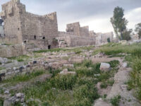 Damascus Citadel Travel Forum Reviews