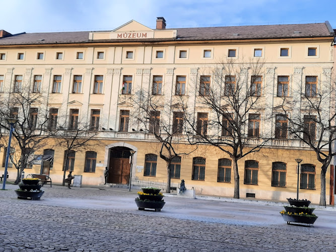 Damjanich János Museum