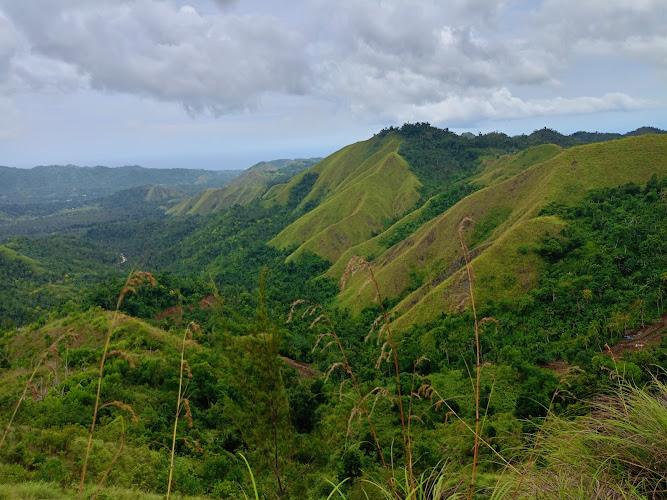 Danao Forest Park