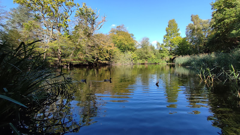 Danbury Country Park