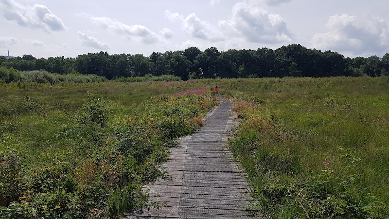 Danes Moss Nature Reserve