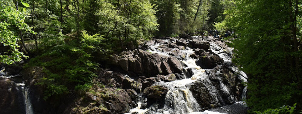 Danska Fall Travel Forum Reviews
