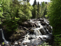 Danska Fall Travel Forum Reviews
