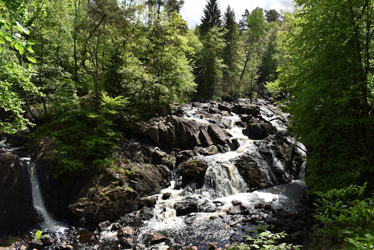 Danska Fall