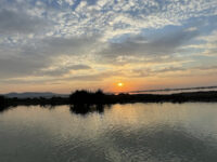 Danube Delta Travel Forum Reviews