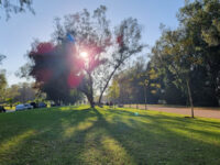 Dar Salam Forest Travel Forum Reviews