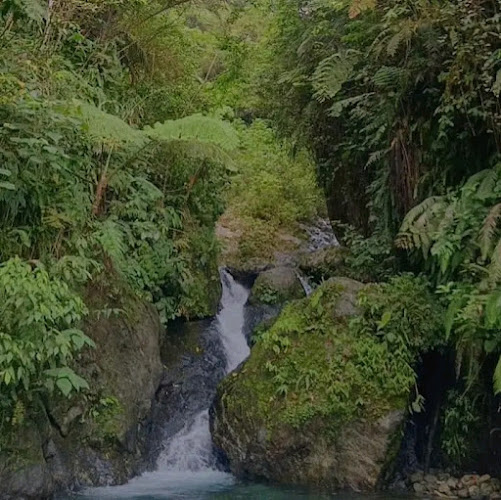 Davao de Oro