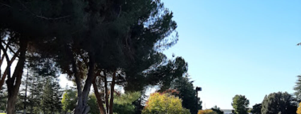Dave Brubeck Park Travel Forum Reviews
