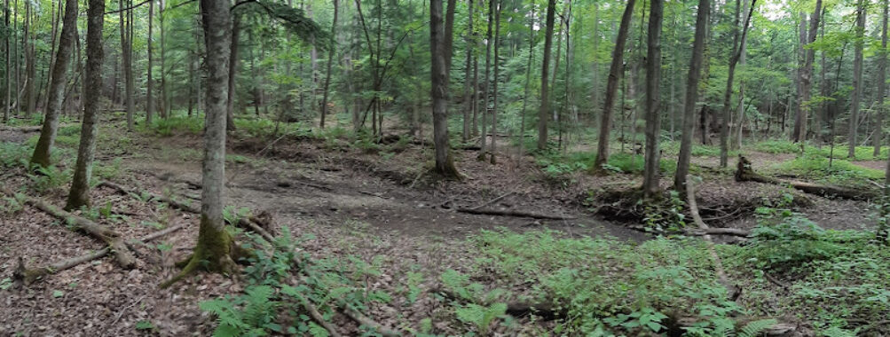 Dave Kerwin Trail Travel Forum Reviews