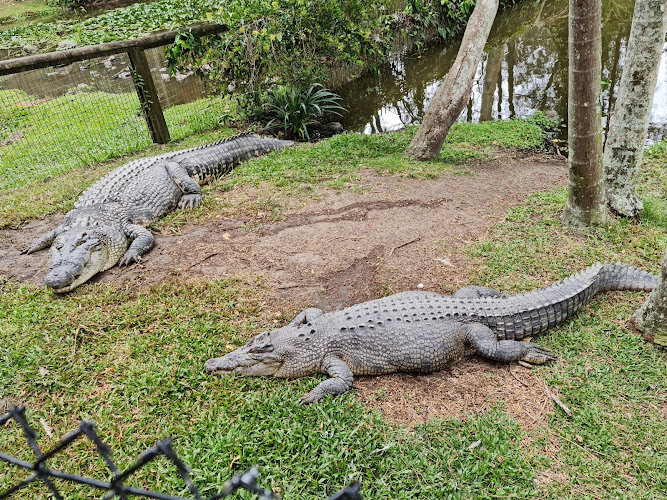 David Fleay Wildlife Park