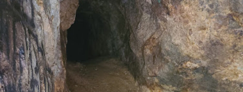 Dawn Mine Travel Forum Reviews