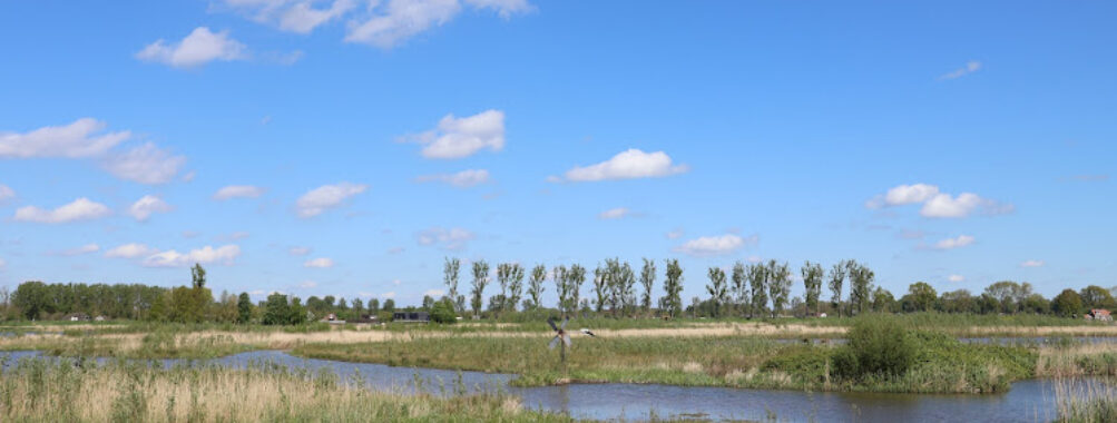 De Nieuwe Dordtse Biesbosch Travel Forum Reviews