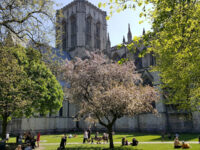 Dean's Park Travel Forum Reviews