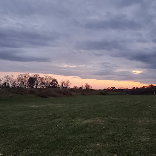 Deer Lookout