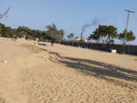 Deer Reserve Park Travel Forum Reviews