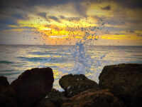 Deerfield Beachfront Park Travel Forum Reviews