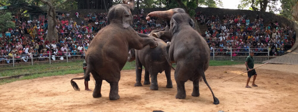 Dehiwala Zoological Gardens Travel Forum Reviews