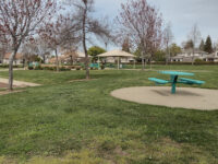 Del Stephenson Park Travel Forum Reviews