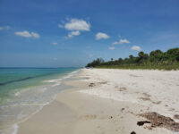 Delnor-Wiggins Pass State Park Travel Forum Reviews