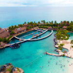 Delphinus Xcaret