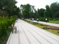 Dendrarium Park Travel Forum Reviews