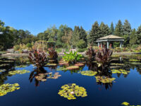 Denver Botanic Gardens Travel Forum Reviews