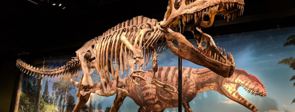 Denver Museum of Nature & Science Travel Forum Reviews