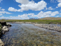 Deosai National Park Travel Forum Reviews