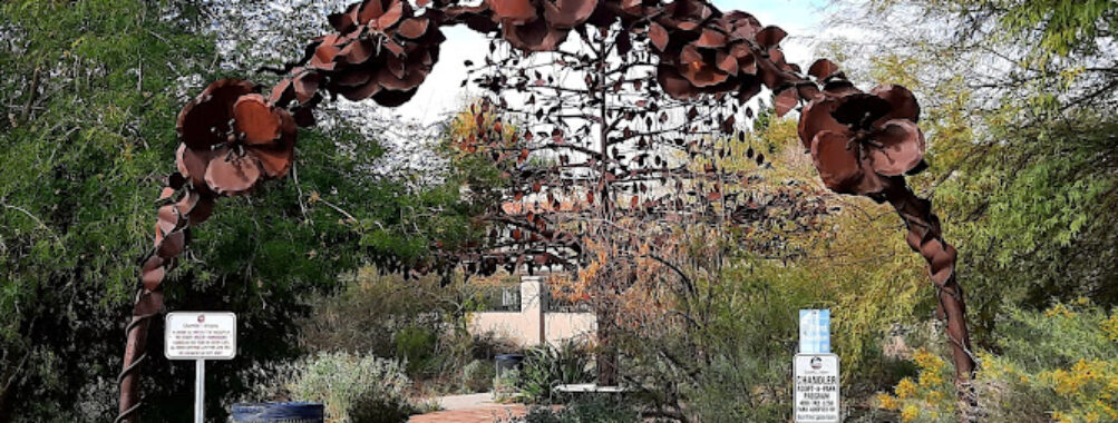 Desert Breeze Hummingbird Habitat Travel Forum Reviews