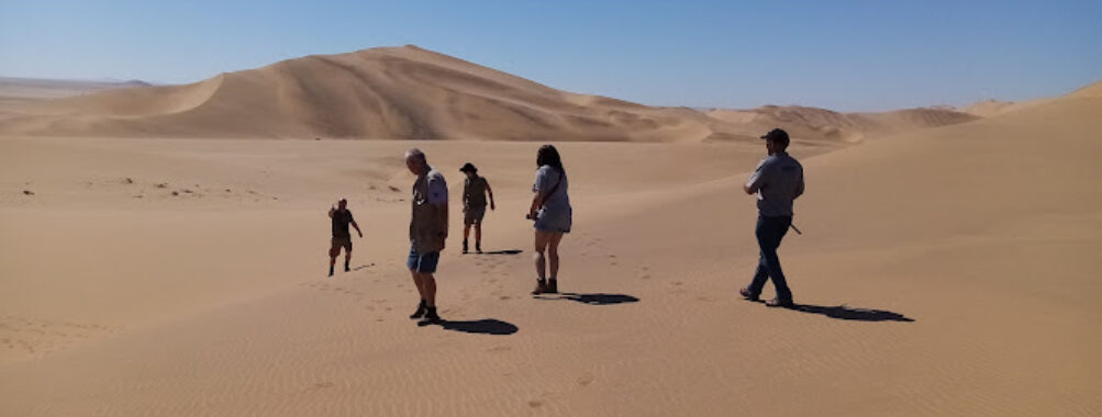 Desert Scenic Tours Travel Forum Reviews