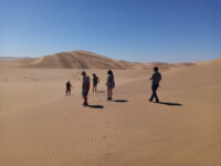 Desert Scenic Tours Travel Forum Reviews