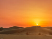 Désert de Touggourt Travel Forum Reviews