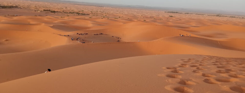 Désert de Zagora Travel Forum Reviews