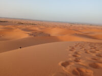 Désert de Zagora Travel Forum Reviews
