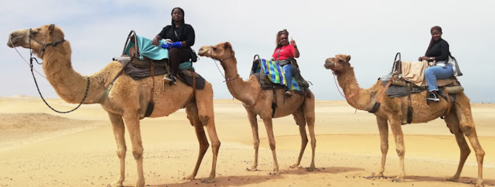 Desert explorers adventure centre Travel Forum Reviews