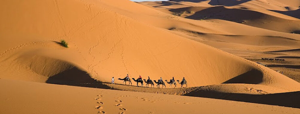 Desert safari morocco | camel ride & overnight in desert Travel Forum Reviews