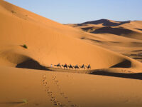 Desert safari morocco | camel ride & overnight in desert Travel Forum Reviews