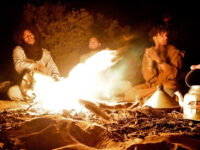 Desertbrise Travel Travel Forum Reviews