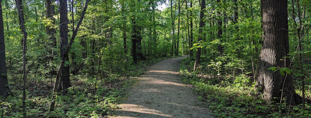Devonwood Conservation Area Travel Forum Reviews