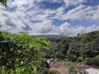 Dibibi Barangay Hall Travel Forum Reviews