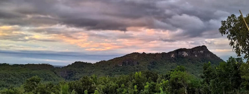 Digo's Hills Travel Forum Reviews
